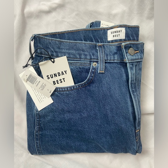 Aritzia SUNDAY BEST Easton 90s Medium Blue Jean - Picture 2 of 15